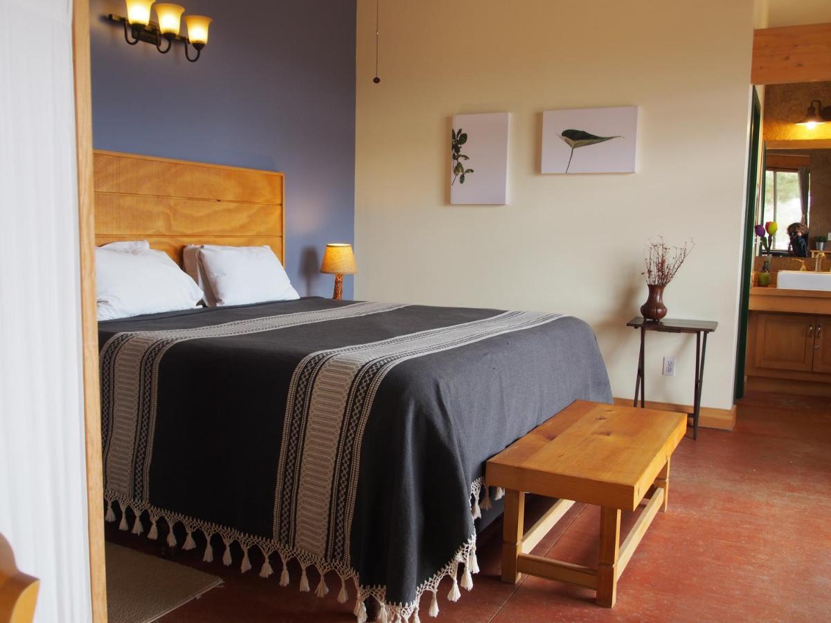 Casa Mayoral B&B Pet Friendly Валье-де-Гуадалупе Экстерьер фото